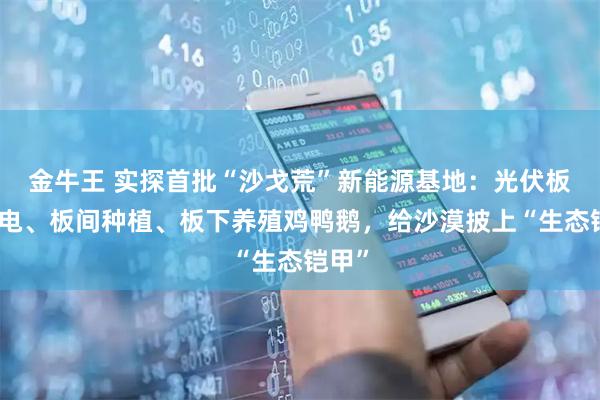 金牛王 实探首批“沙戈荒”新能源基地：光伏板上发电、板间种植、板下养殖鸡鸭鹅，给沙漠披上“生态铠甲”