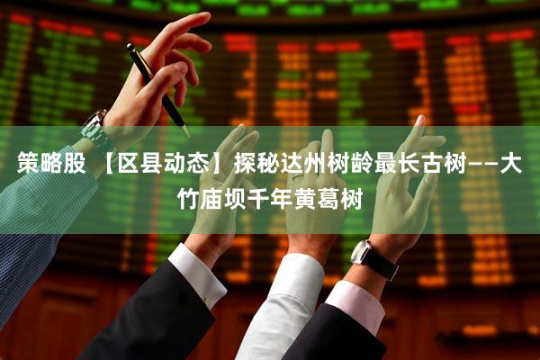 策略股 【区县动态】探秘达州树龄最长古树——大竹庙坝千年黄葛树