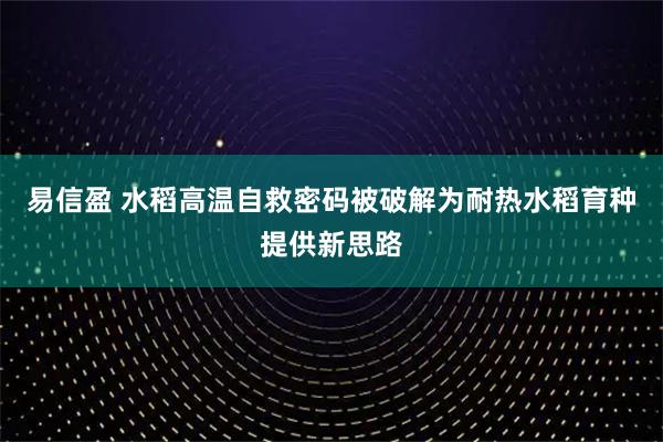 易信盈 水稻高温自救密码被破解为耐热水稻育种提供新思路