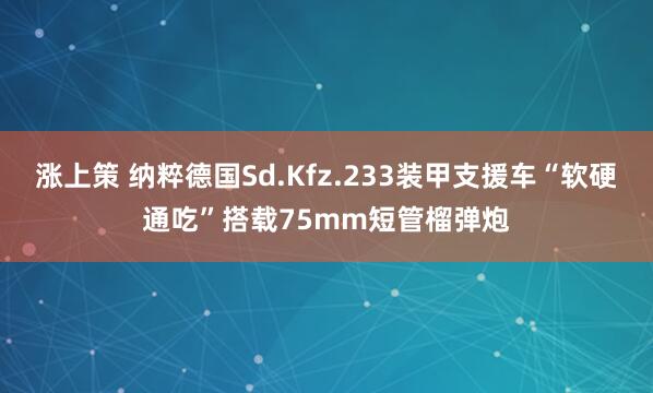 涨上策 纳粹德国Sd.Kfz.233装甲支援车“软硬通吃”搭载75mm短管榴弹炮